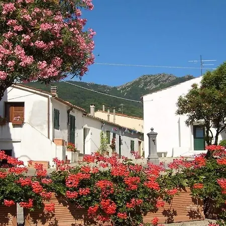 Sara 2 Apartman *